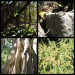 Camera lesson in Brisbane 6