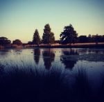 Richmond Park 2