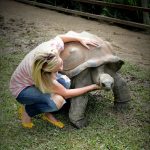 Australia Zoo 2013 15