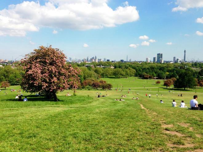 Primrose Hill.