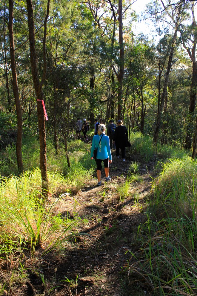 Morning walks with Johnny. 