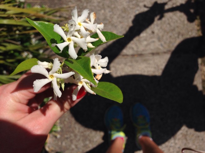 Check out the shadow of the cyclist. 