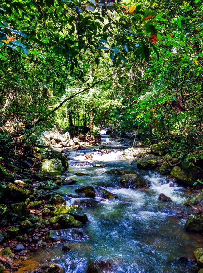 Photo by Aaron (Instagram.com/Aza000)