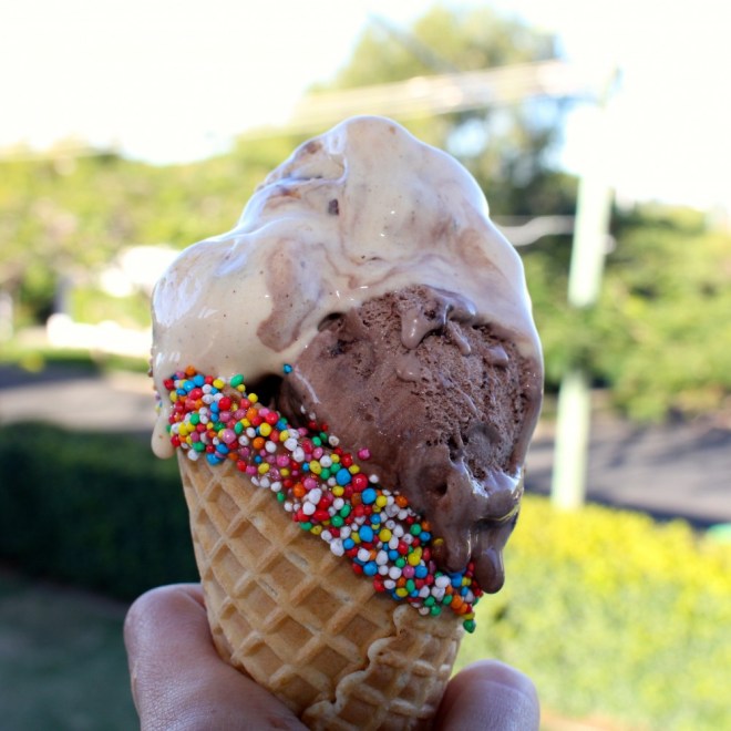 Three seconds after this photo was taken, I had most of that ice-cream (Top: Sticky Date, Bottom: Choc Fudge Brownie) in my mouth. I had no choice ... it was dripping.