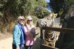 Australia Zoo 4