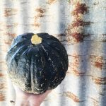 Regional Flavours Weekend potkin