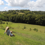 Screen Shot 2017-12-31 at 6.50.05 AM