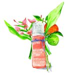 Go – To Properly Clean1F